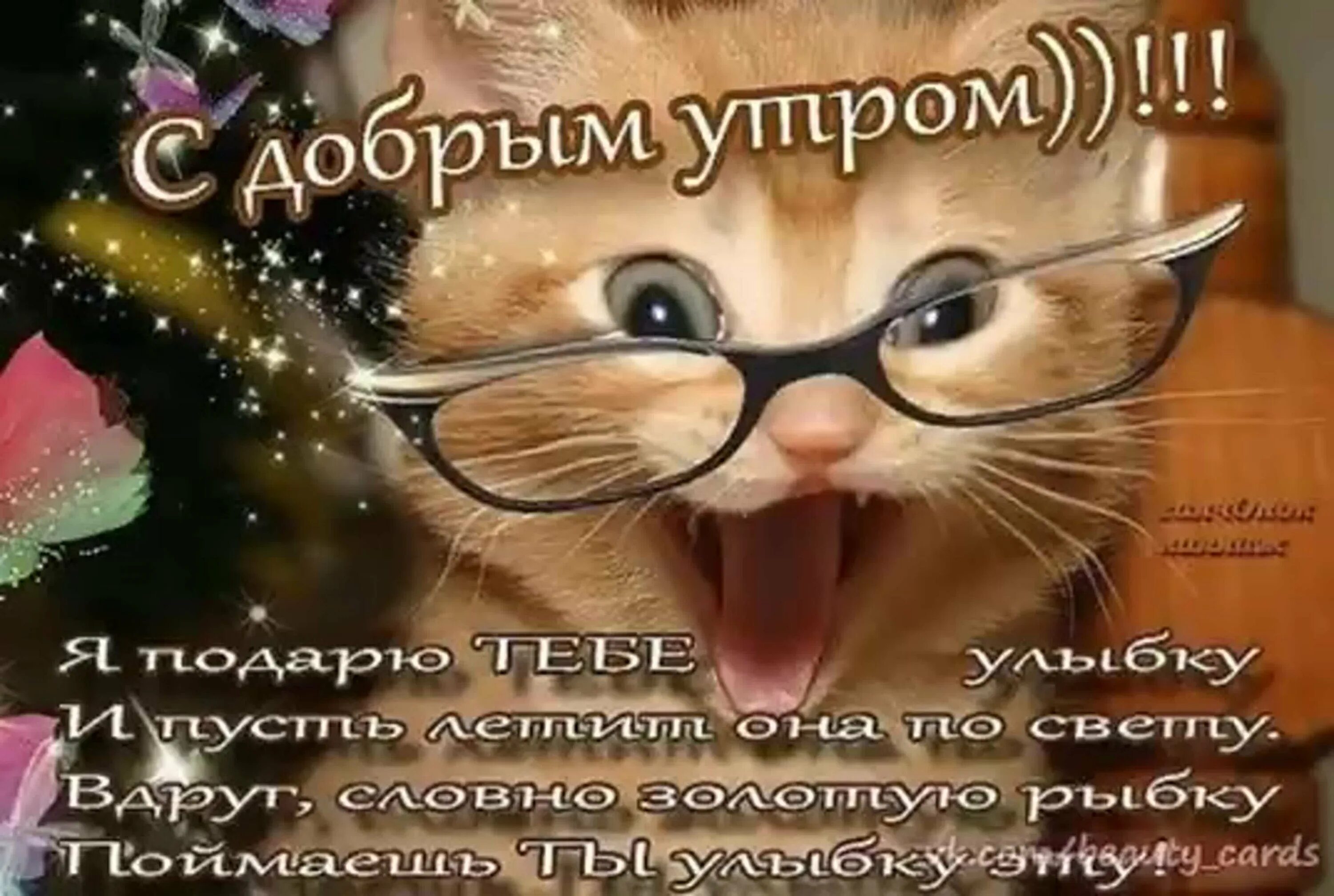 Ржачное пожелание доброго утра. Пожелания с добрым утром прикольные. веселые пожелания с добрым утром. смешные пожелания доброго утра. открытки с добрым утром шуточные.