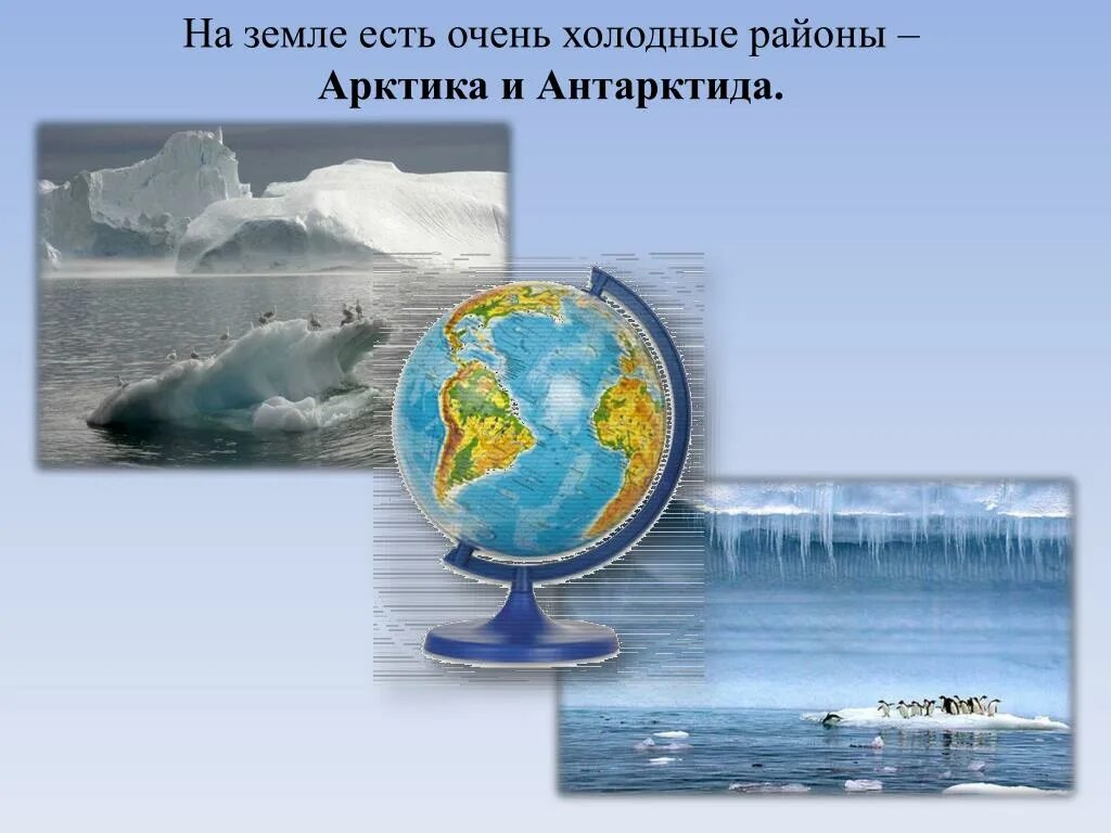 Холодные районы земли. Арктика и Антарктида. Арктика и Антарктида на глобусе.