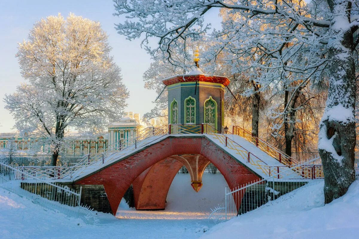 екатерининский парк санкт-петербург зимой. картинки с рождеством 2023. дворец зимой павловский дворец.
