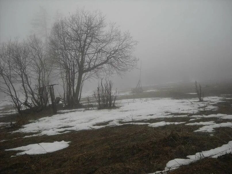 мы шли по лосиному следу. следы на снегу стихи. мы шли по лосиному следу. след лосенка на глубоком снегу. след кабана и лося.