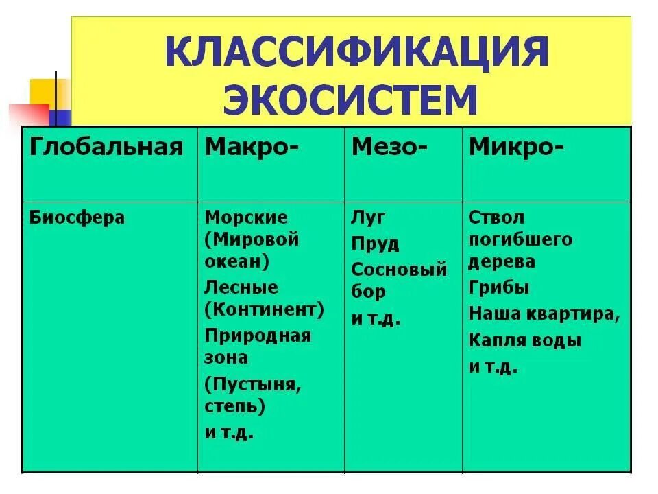 Микро содержание. Классификация экосистем. Классификация экосистем в биологии. Классификация и ранги экосистем. Классификация биогеоценозов.