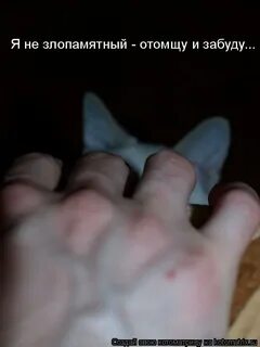 Самые злопамятные