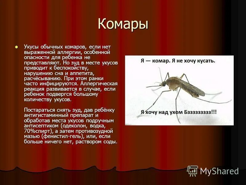 Что делать если укусил комар
