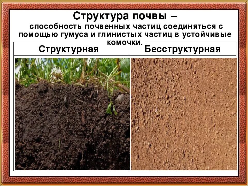 Наибольшее плодородие почвы. Комковато-зернистая структура почвы. структура почвы. бесструктурная почва. строение почвы.