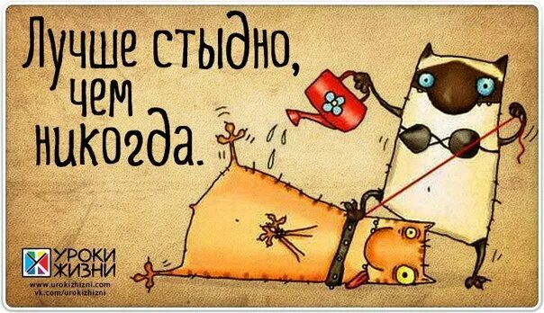 Лучше пожалеть о том. Лучше сделать и пожалеть чем не сделать. лучшие сделать и пожалеть чем. лучше сделать и пожалеть. лучше жалеть о том что сделал чем.
