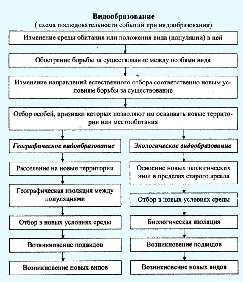 Схема процесса видообразования. Механизм видообразования схема. Способы видообразования биология 11 класс таблица. Этапы экологического видообразования биология 9 класс. Экологическое видообразование возникает в результате