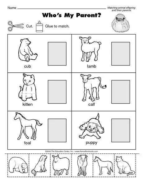Animals my mother. Animals my mother. Domestic animals and their baby worksheet. Детский баннер животные герои. Домашние животные на английском для детей.
