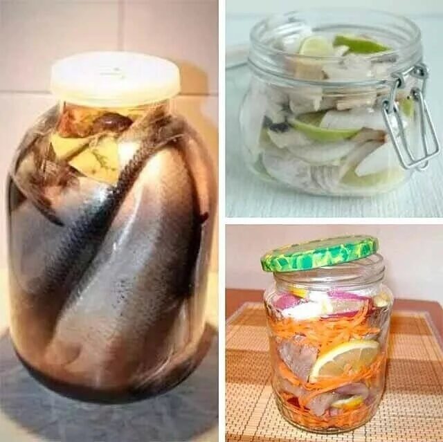 засолка сельди в банке. рольмопс в банке. соленая селедка в рассоле. селедка соленая в банке. соленая рыба в банке.