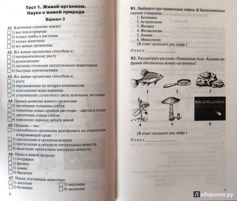 Образование 5 класс тест. Тест по биологии 5 класс 2 глава. Тест по биологии 5 класс. Таст по беологии 5 клас. Биология 5 класс тесты.