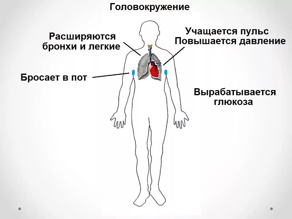 Бросает в жар без температуры у мужчин. Тахикардия симптомы. Причины учащенного пульса. Сердцебиение симптом. Симптомы при тахикардии.