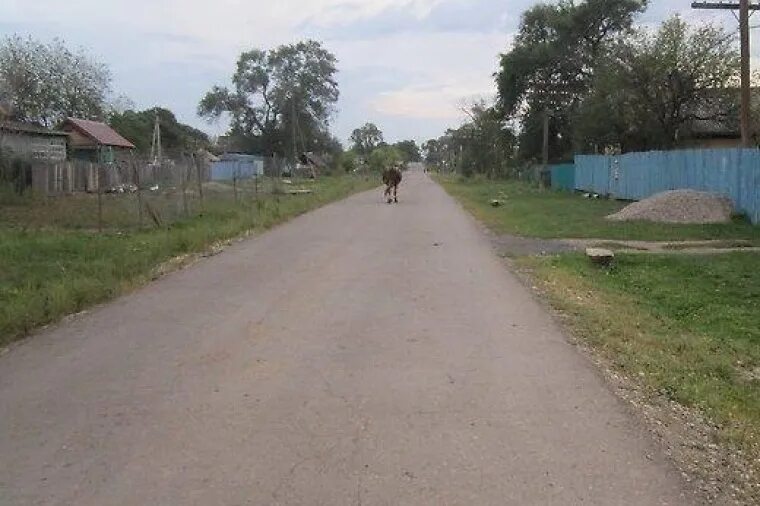 Погода ивановка приморский. Село Отрадное Приморский край. Село Ивановка Приморский край. Село Отрадное Приморский край Михайловский район. Село Ивановка Приморский край Михайловский район.