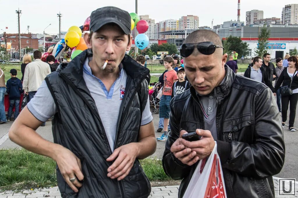 Жизнь быдла
