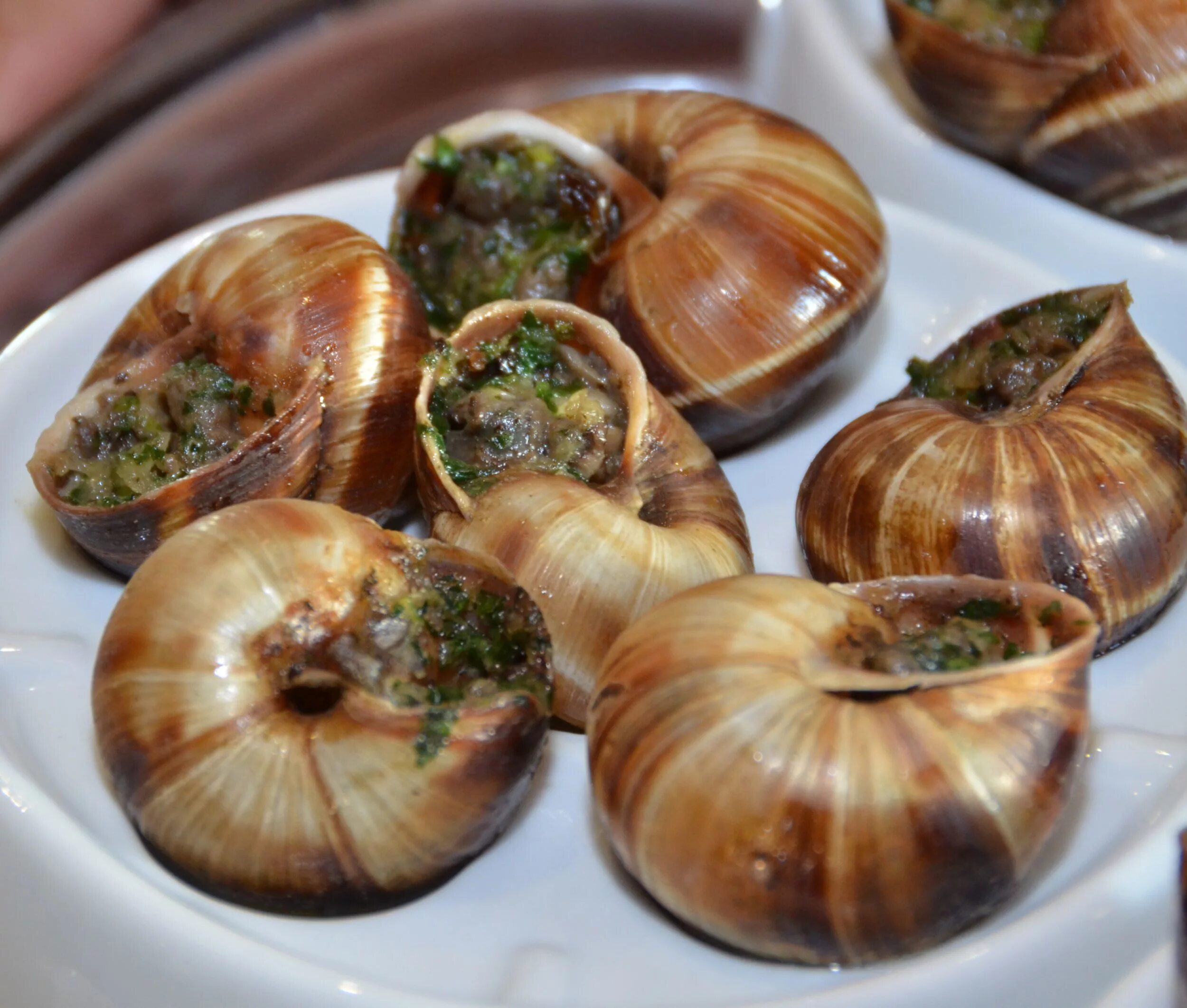 как приготовить улиток. вареные улитки. блюдо из виноградных улиток. улитки приготовление. вареные улитки.