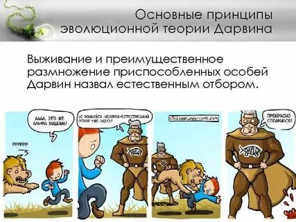 Примеры эволюционной теории