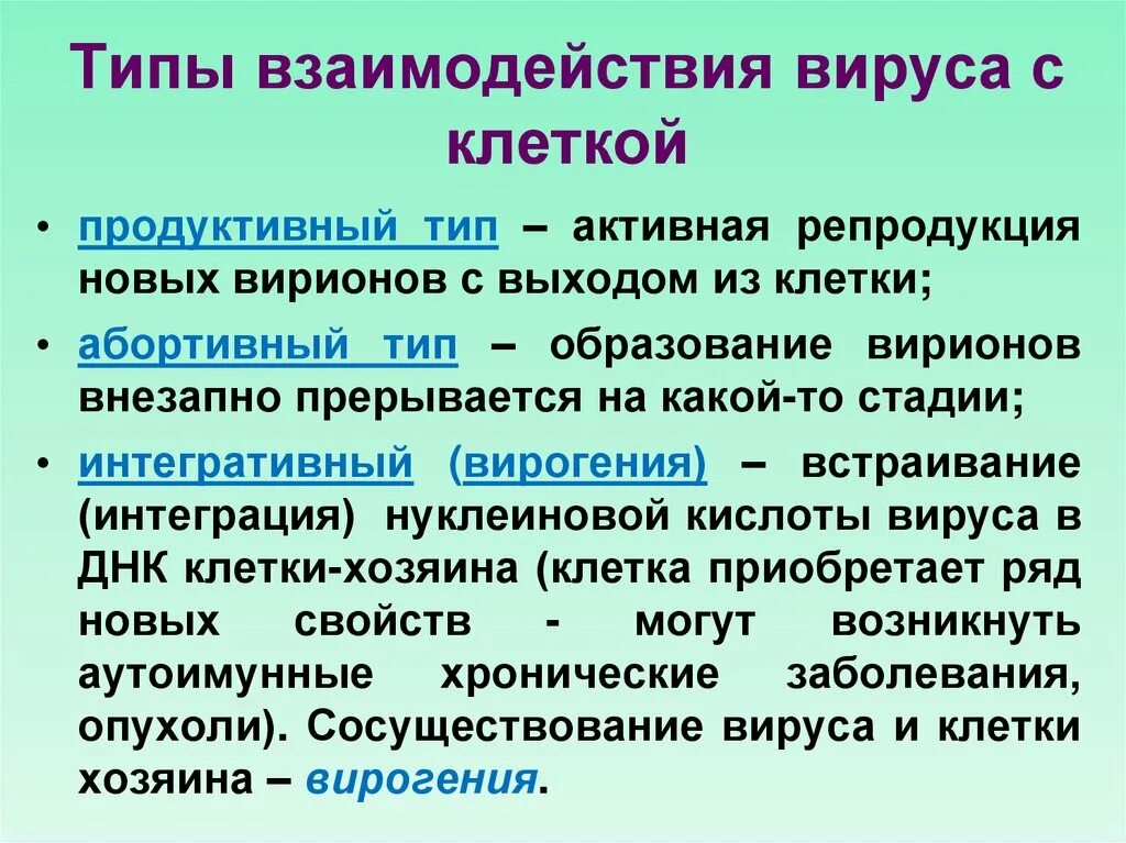 Типы взаимодействия вируса с клеткой. Схема взаимодействия вируса с клеткой. Продуктивный Тип взаимодействия вируса с клеткой. Стадии взаимодействия вируса с клеткой.