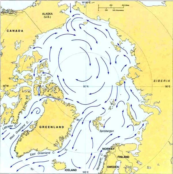Течения Северного Ледовитого океана на карте. Схема течений Северного Ледовитого океана. Течения Северного Ледовитого океана. Течения Северного Ледовитого океана теплые и холодные.