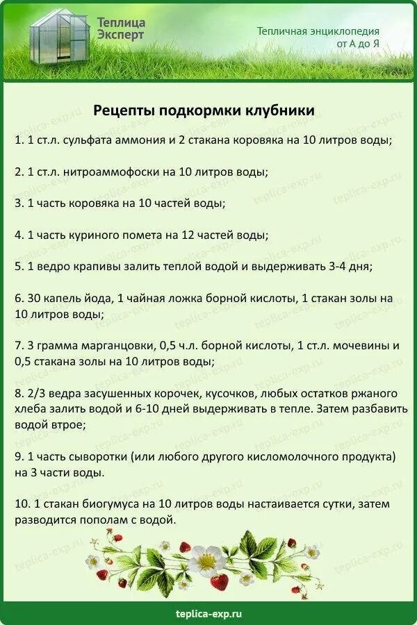 Можно ли подкормить весной клубнику аммиачной селитрой. Схема обработок и подкормок клубники. Схема подкормки клубники весной. Схема внесения удобрений для клубники. Схема подкормок земляники.