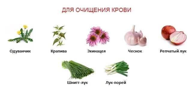 Продукты чистящие кровь