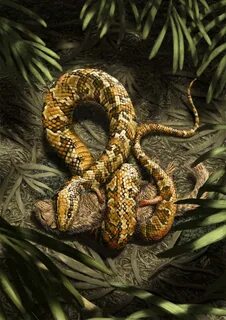 Snake legs