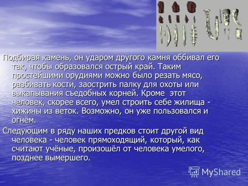 биологическая сказка 5 класс. сказка о бактериях по биологии. биологическая сказка 5 класс. биологическая сказка 5 класс. биологическая сказка 5 класс.