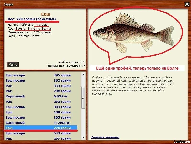 Русская рыбалка носарь. Какого размера рыба Ерш. Ерш Размеры. Ерш описание. Ерш вес.