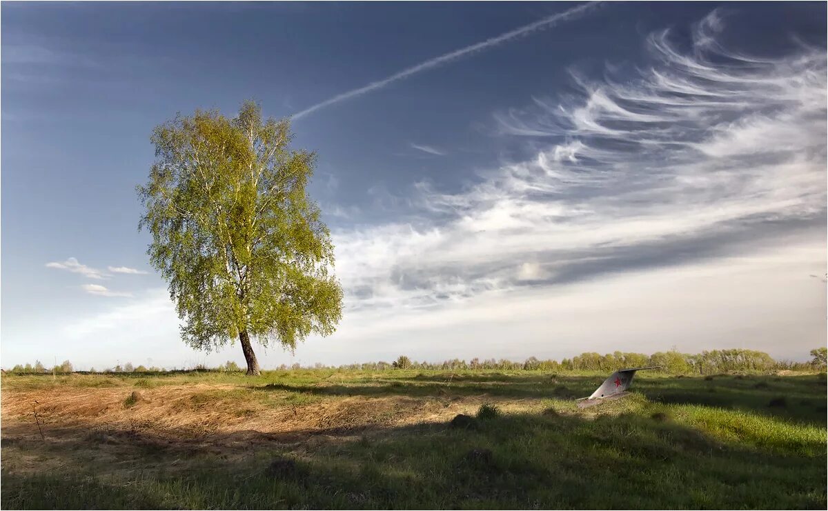 книга эксмо одно небо на двоих. одно небо на двоих читать. небо на двоих. 1 небо на двоих. 1 небо на двоих.