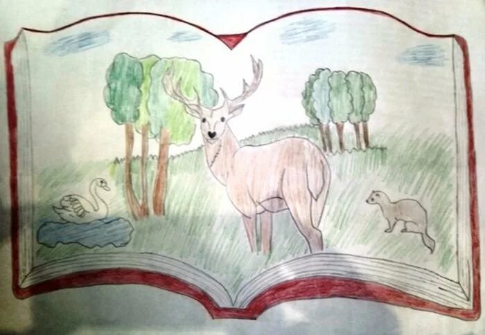 Рисунок растения и животные. Красная книга рисунок. Рисунок на тему красная книга. Рисунок на тему животные красной книги. Иллюстрации краснокнижных растений и животных.