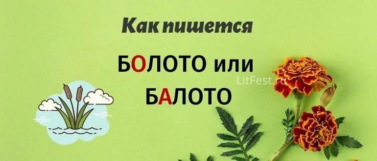 Слова со слова болото. Слово болото. Болота проверочное слово. Болото словарное слово. Как проверить слово болото.