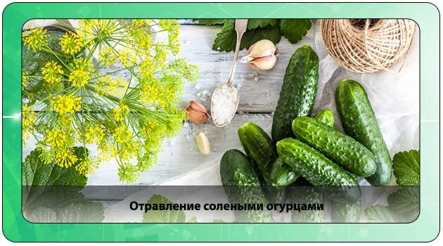 Отравление солеными огурцами симптомы. Отравление огурцами маринованными. Отравление огурцами. Чем полезен огурец. Отравление нитратами и нитритами симптомы.