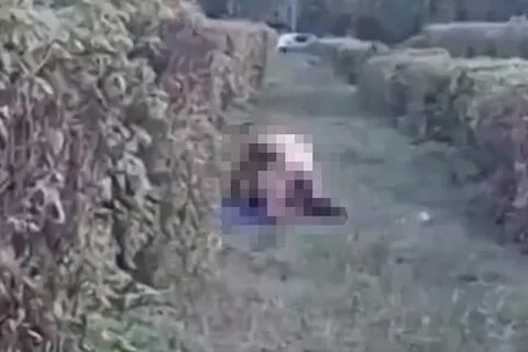 Похищение детей в дюртюлинском районе