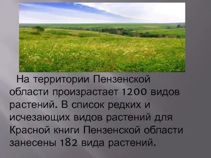 Природные богатства пензенской