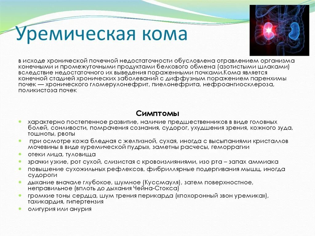 Патогенез уремии уремической комы. Почечная кома этиология. Почечная кома. Уремическая кома. Почки кома.