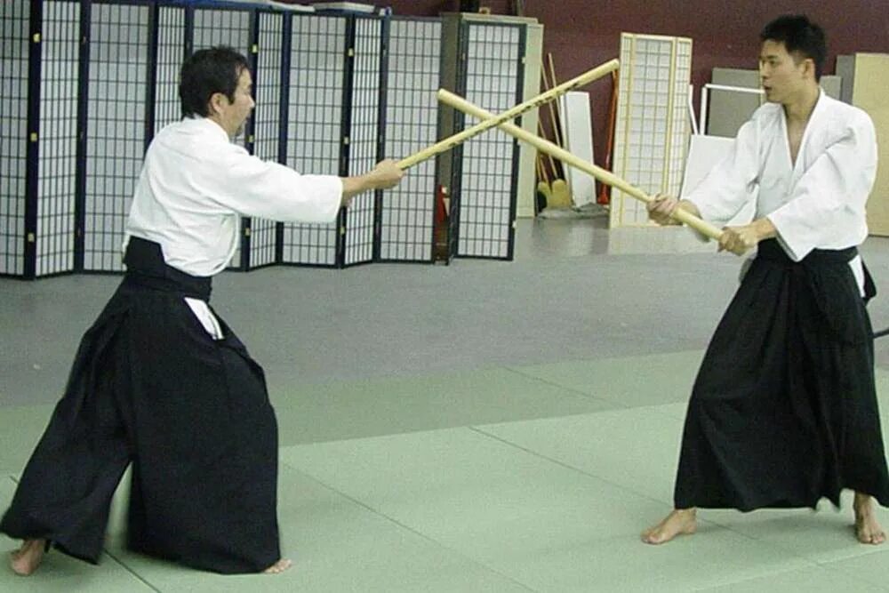 Мудзюсин кендзюцу. Кендзюцу кендо. Кендзюцу техника ударов катаной. Удары катаной. Кендзюцу кендо.