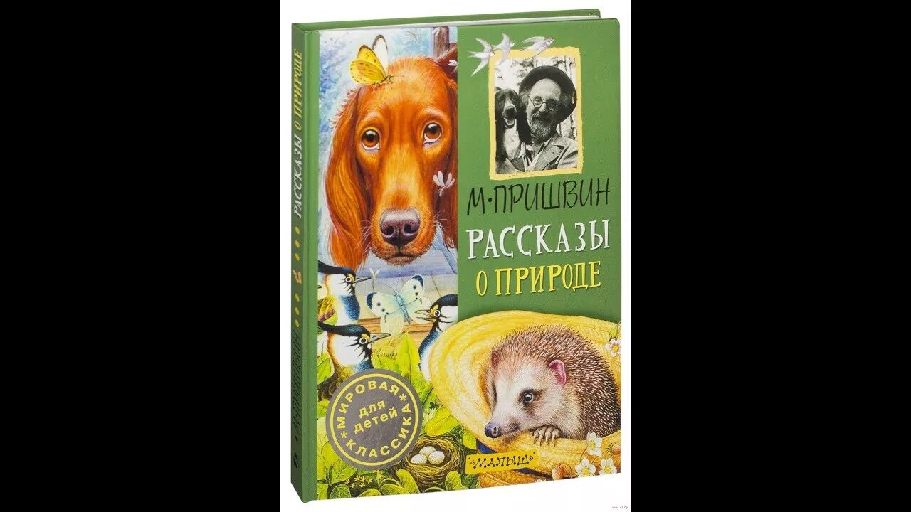 Друзья человека рассказы о животных. Пришвин книги. Пришвин детские книги. Книга пришвин рассказы о природе.