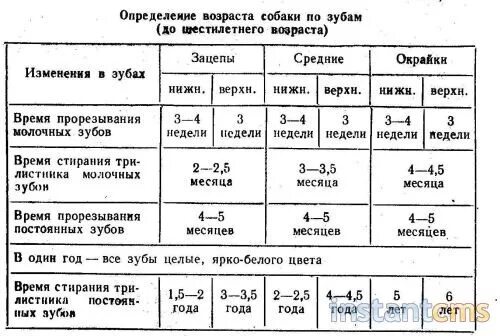 Как определить по возрасту