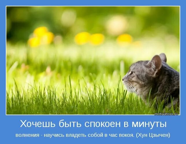 будете спокойны. иди вперед цитаты. вы так спокойны что принимаете всё. спокойный уравновешенный человек. чем спокойнее и уравновешеннее человек.