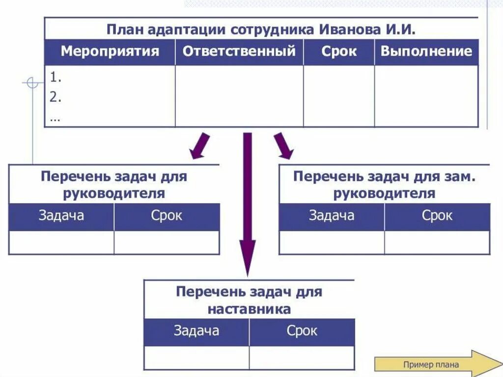 Примеры адаптации в организации. План адаптации сотрудника. Адаптация персонала пример. Программа адаптации нового сотрудника. План адаптации персонала.