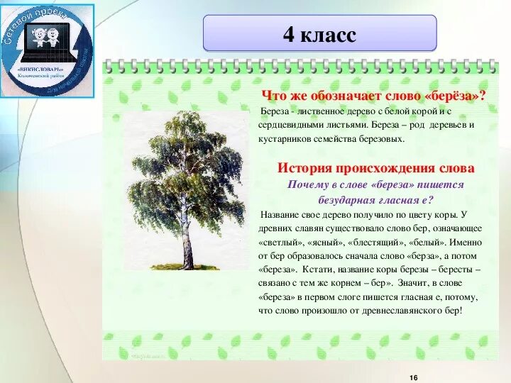 Фото зарождения деревца. Как появилось слово дерево. Откуда произошли деревья. Дерево ваттиеза. Клён дерево описание.