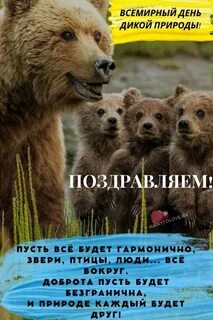 Всемирный день дикой природы сообщение