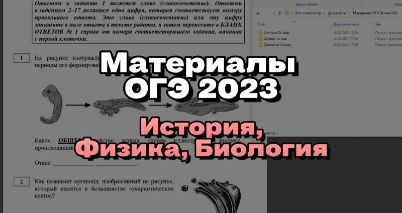 темы огэ биология 2023. шпаргалка. темы огэ биология 2023. кодификатор егэ.