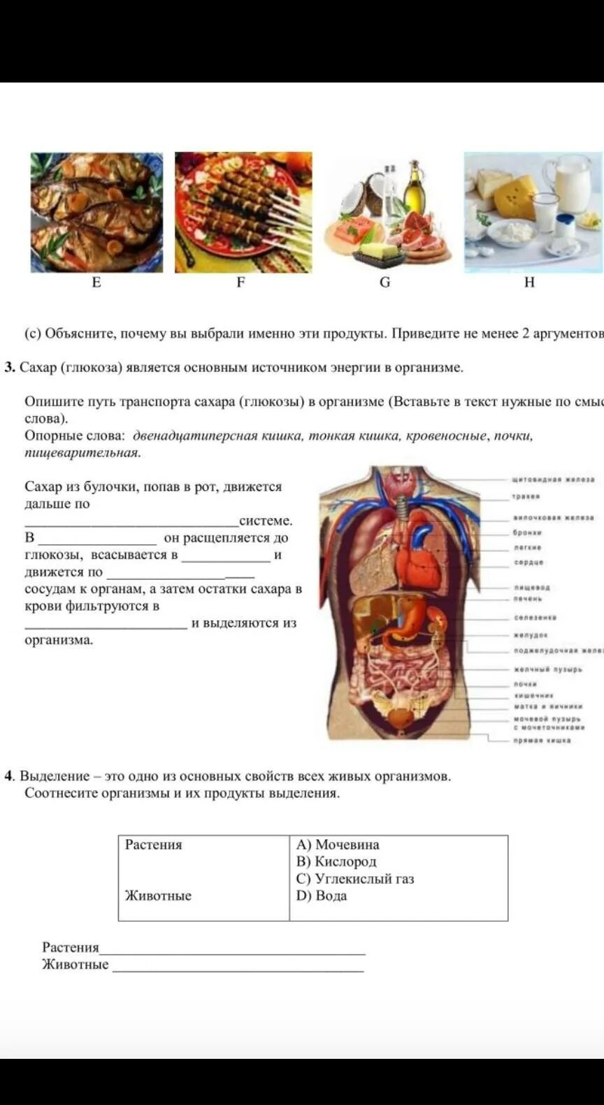 Сор естествознание 3 четверть. Сор по естествознанию 3 класс 2 четверть. сор по естествознанию 3 класс 2 четверть с ответами. сор 2 по естествознанию 6 класс 1 четверть с ответами. сор за 6 класс по естествознанию с ответами.