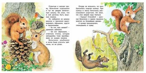Папа для бельчонка вернуть бывшую читать