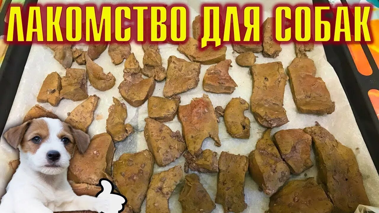 Препараты при отравлении собаки. Гепатовет актив 50 мл. Какие каши можно давать собакам. Суб продуктв для собак. Какие крупы можно собакам.