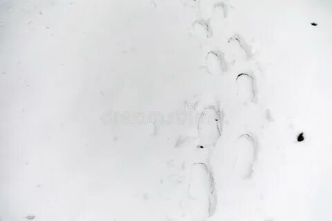 Контрольная работа следы на снегу