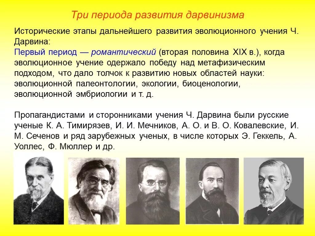 Есть три эпохи. Дарвиновский период развития эволюционного учения. Этапы развития эволюционной теории Дарвиновский период. Три периода развития дарвинизма. Тема синтетическая теория эволюции.