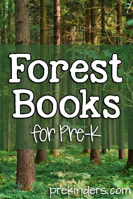 Forest booking. Food forest. Forest booking. Children's book forest. Сказочная фотосессия в лесу.