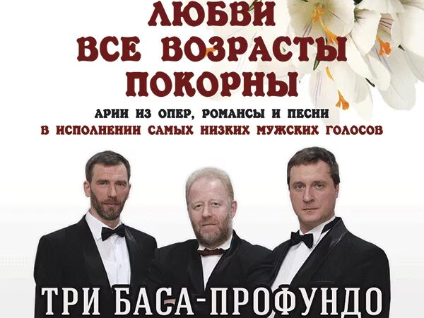 три баса профундо. бас профундо диапазон. михаил круглов бас-профундо. профундо что это. диапазон профундо.