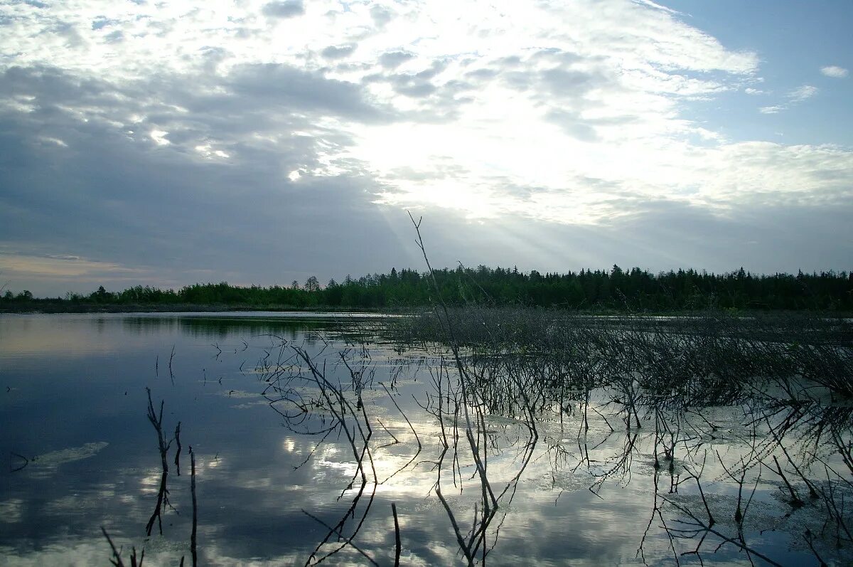 Федорцово сергиево-посадский район рыбалка. Рыбалка федорцово форум. Рыбалка федорцово форум. Рыбалка федорцово форум. Полубарское озеро.