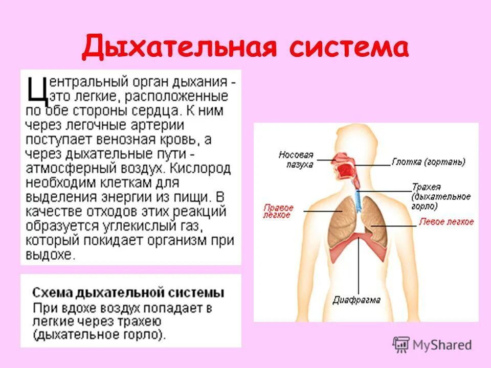 вдох воздух 6