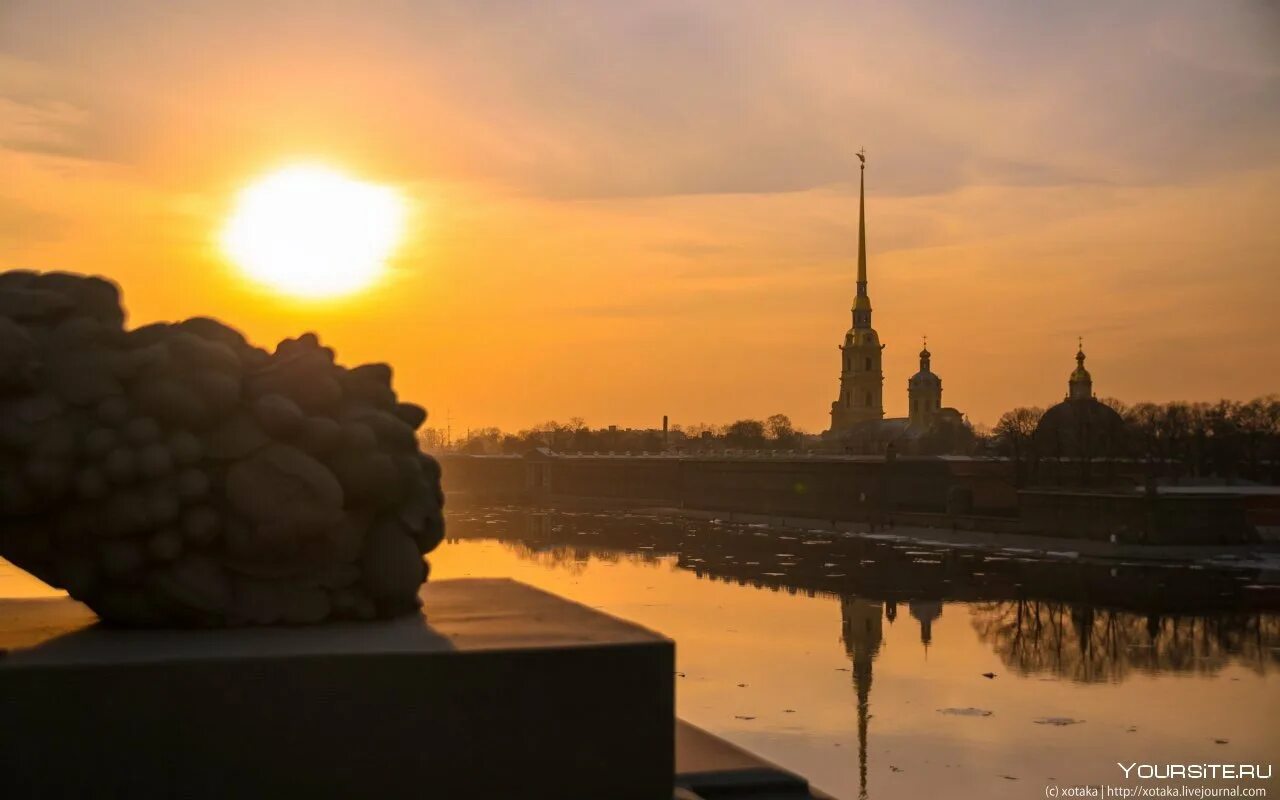 Над никольским. Петропавловская крепость в Санкт-Петербурге на рассвете. Петропавловская крепость белые ночи. Питер Адмиралтейство рассвет. Санкт-Петербург Восход на Неве.